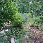 Ferienreihenhaus Casa de Férias Sangerhausen