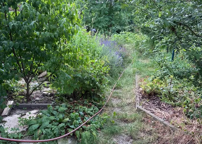 Ferienreihenhaus Prázdninový dům Sangerhausen